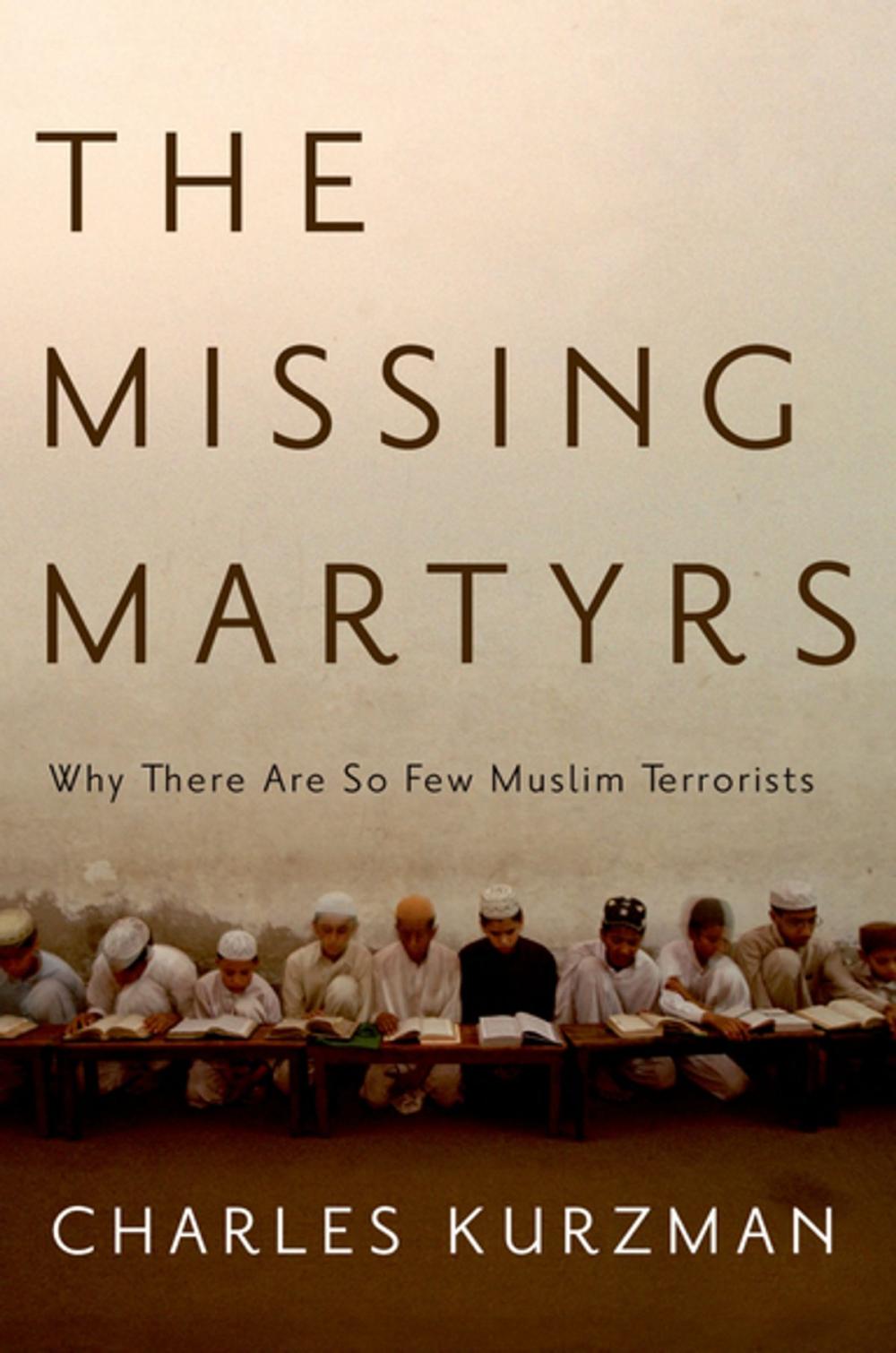 Big bigCover of The Missing Martyrs
