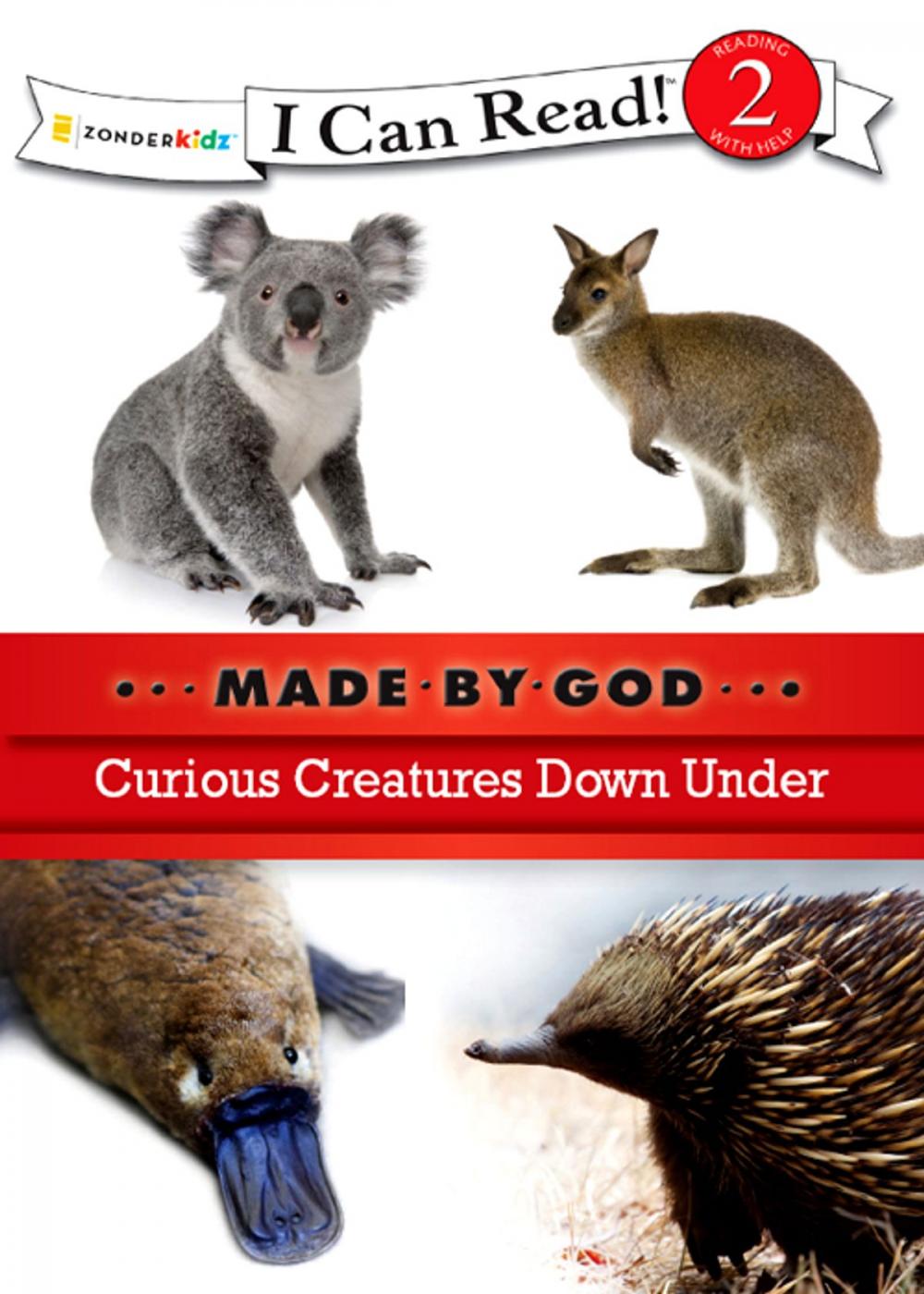 Big bigCover of Curious Creatures Down Under