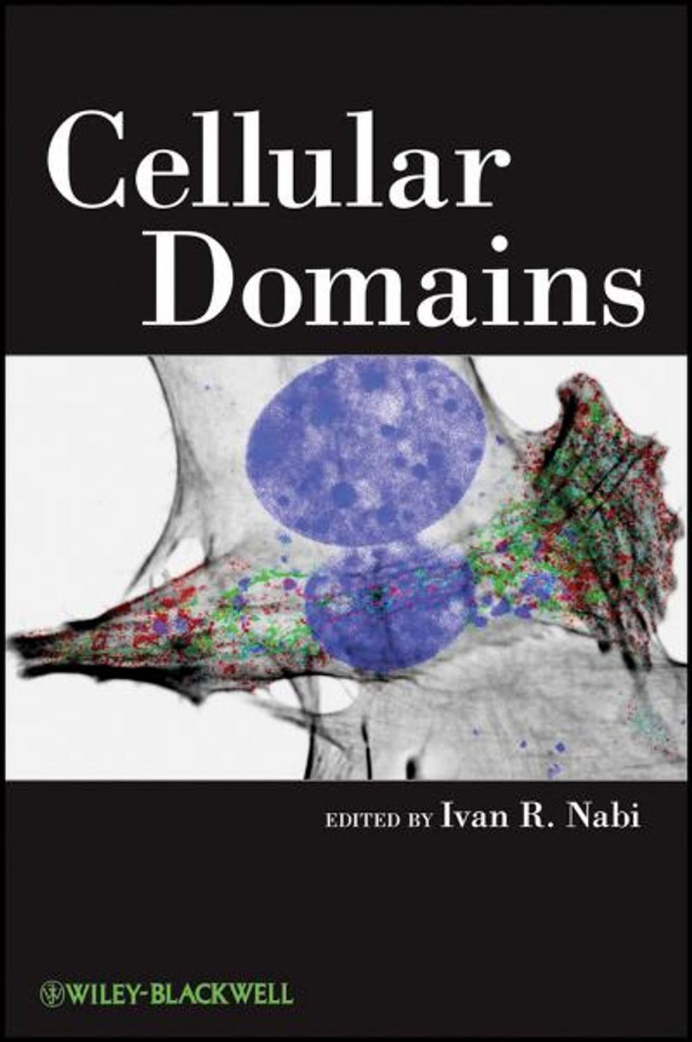 Big bigCover of Cellular Domains