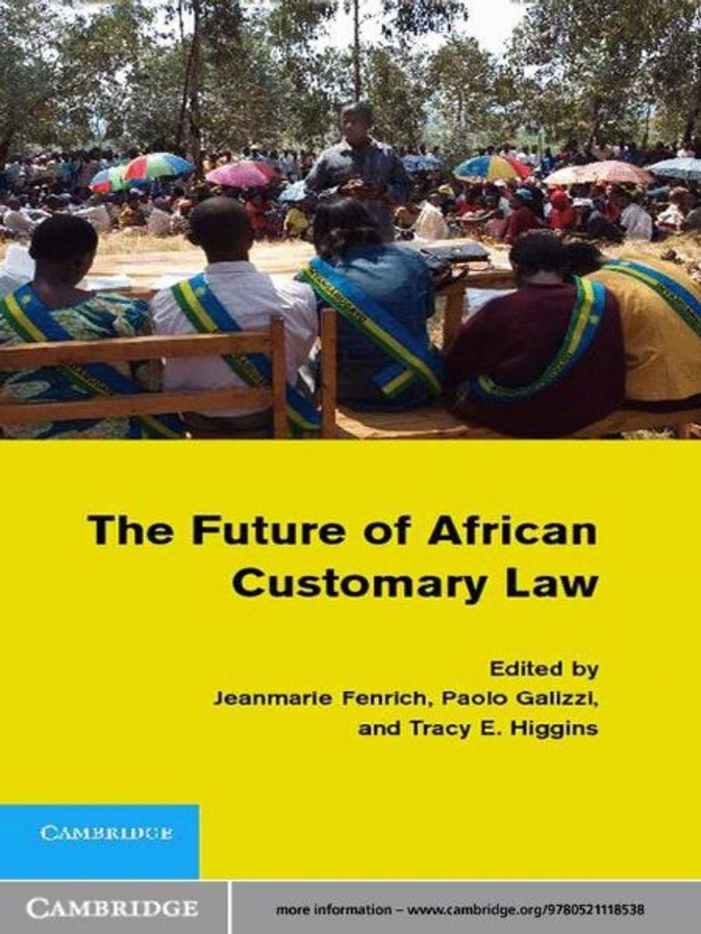 Big bigCover of The Future of African Customary Law