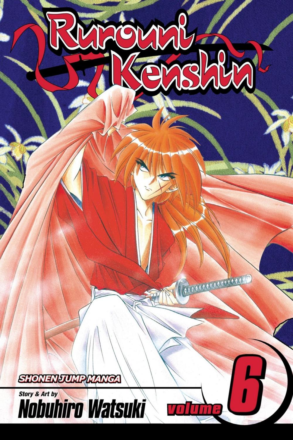 Big bigCover of Rurouni Kenshin, Vol. 6