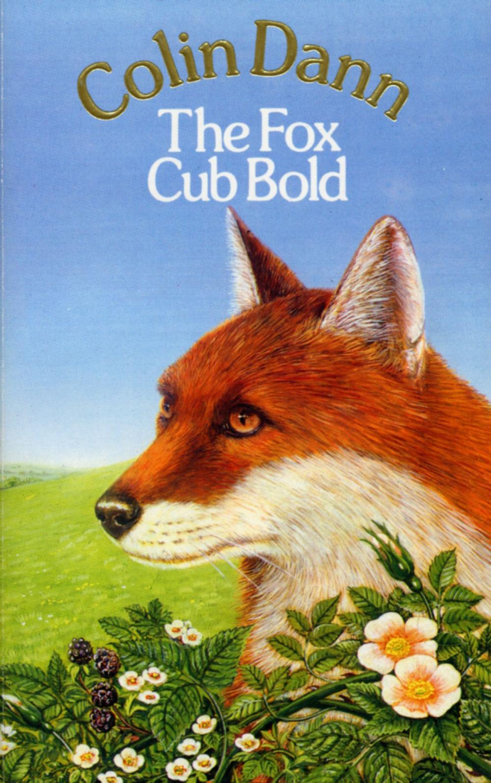 Big bigCover of The Fox Cub Bold