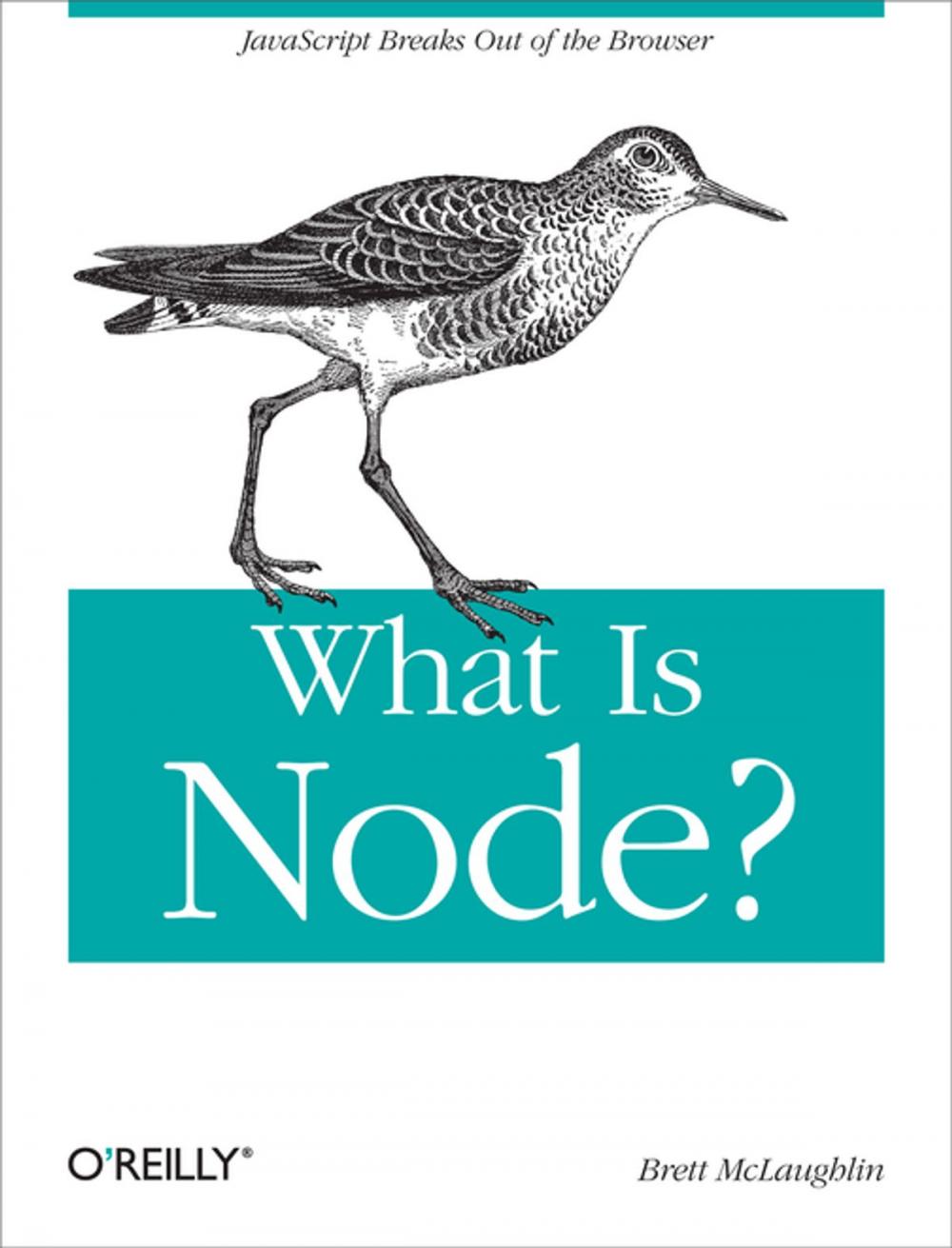 Big bigCover of What Is Node?