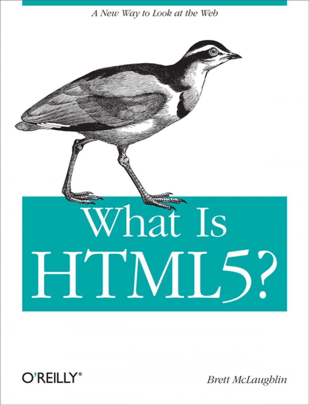 Big bigCover of What Is HTML5?