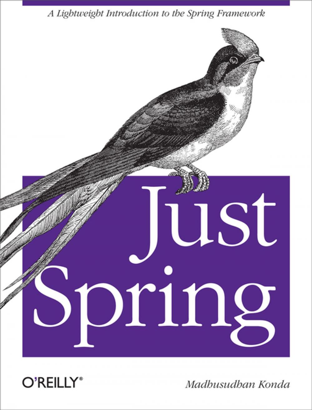 Big bigCover of Just Spring