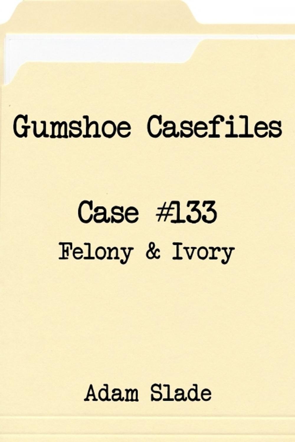 Big bigCover of Gumshoe Casefiles: Case 133