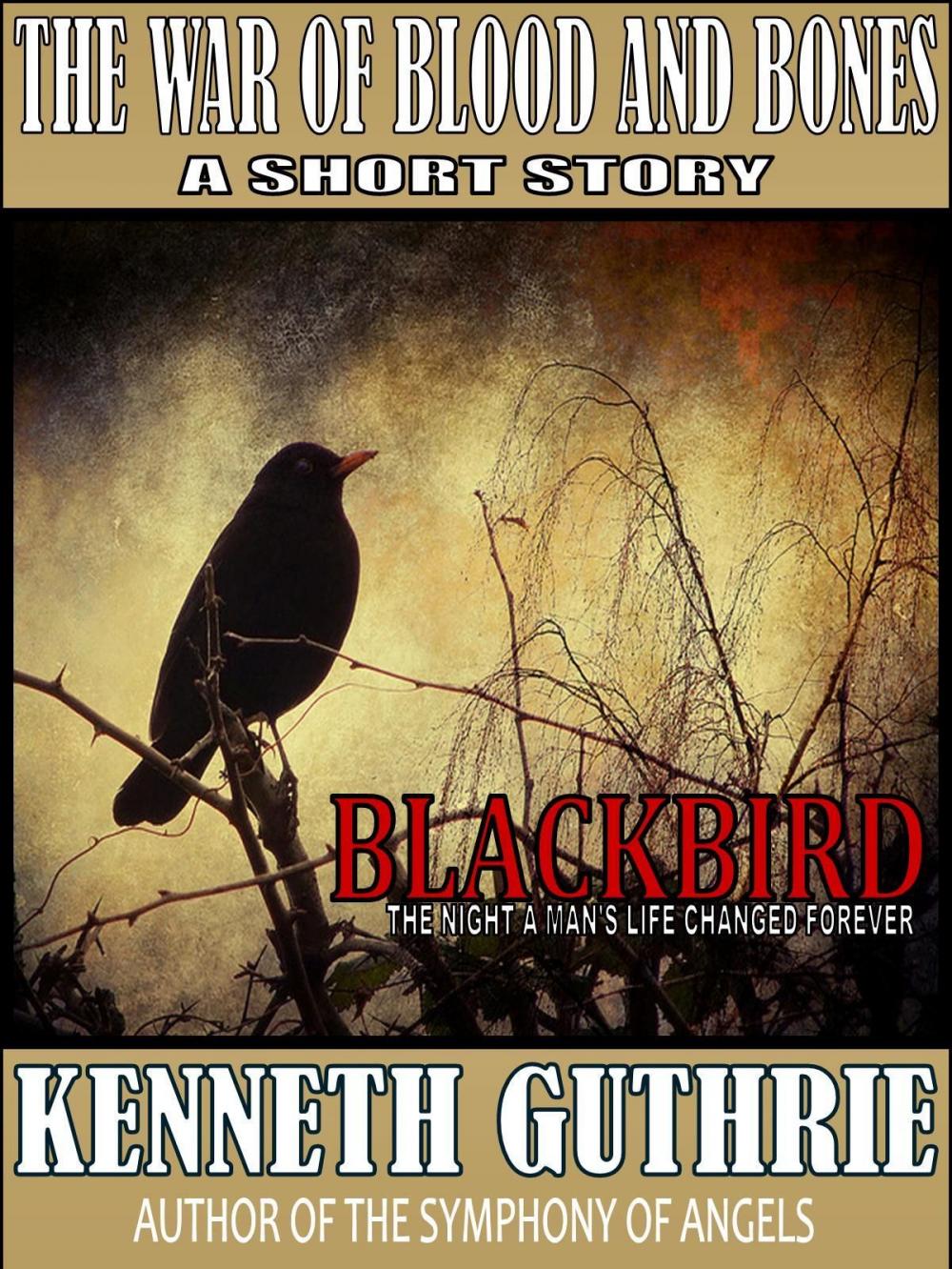 Big bigCover of The War of Blood and Bones: Blackbird