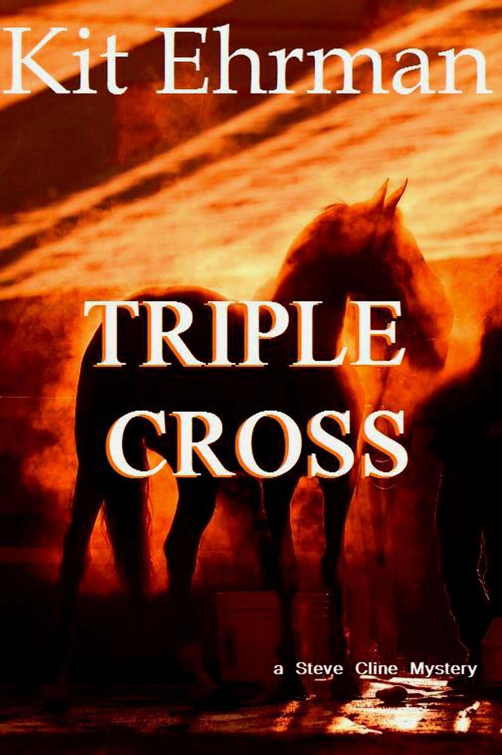 Big bigCover of Triple Cross