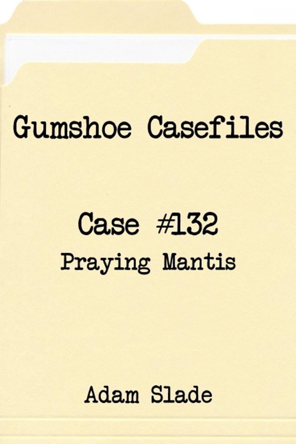 Big bigCover of Gumshoe Casefiles: Case 132
