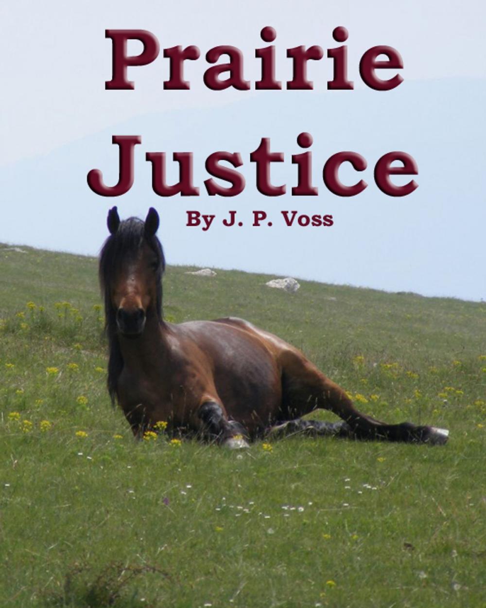Big bigCover of Prairie Justice