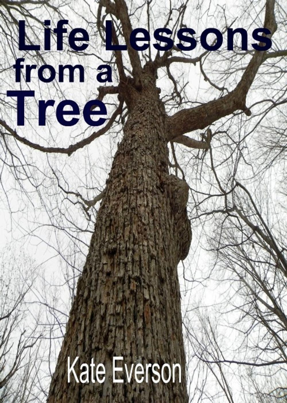 Big bigCover of Life Lessons from a Tree