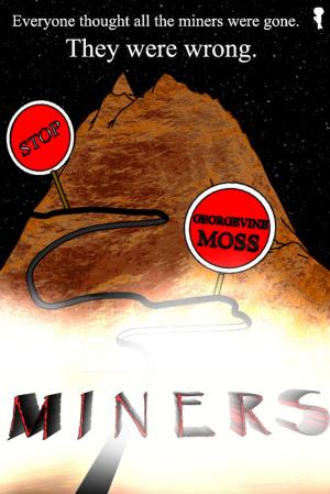 Cover of the book MINERS by Ande Edwards