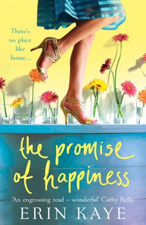 Book cover of THE PROMISE OF HAPPINESS