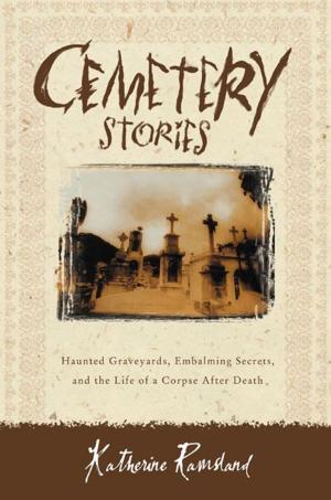 Book cover of Cemetery Stories