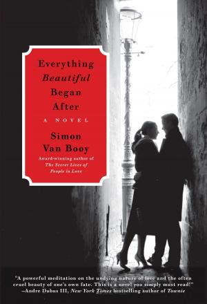 Book cover of Everything Beautiful Began After