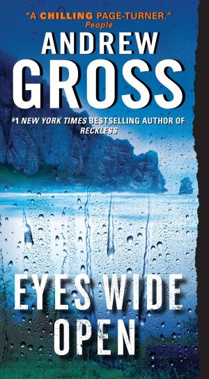 Cover of the book Eyes Wide Open by Larry Gonick
