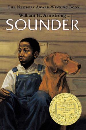 Cover of the book Sounder by Beverley Naidoo