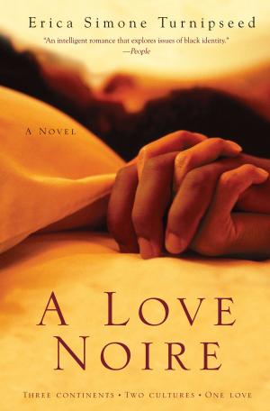 Cover of the book A Love Noire by Heather Morris