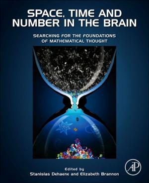 Cover of the book Space, Time and Number in the Brain by Robert Schumacher