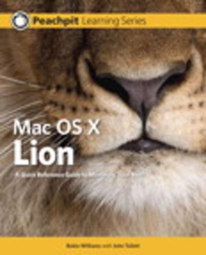 bigCover of the book Mac OS X Lion by 