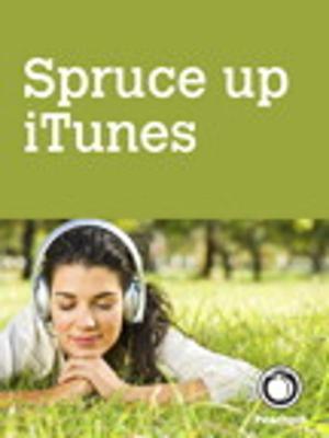 Cover of the book Spruce up iTunes, by adding album art and lyrics and removing duplicate songs by Steve Johnson, Perspection Inc.