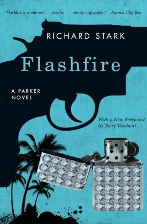 Cover of the book Flashfire by Brett Halliday