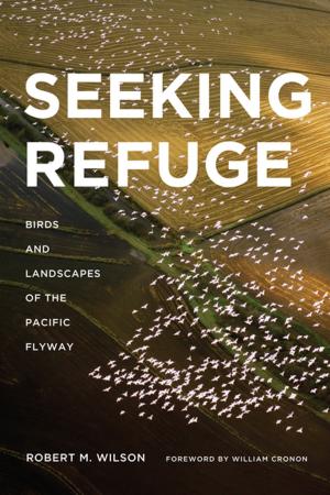 Cover of the book Seeking Refuge by David Biespiel