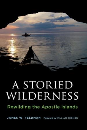 Book cover of A Storied Wilderness