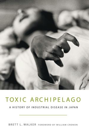 Cover of the book Toxic Archipelago by Carlos Arnaldo Schwantes
