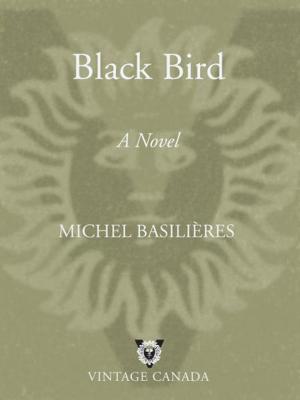 Cover of the book Black Bird by Alison Wearing