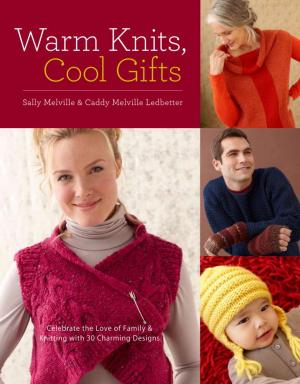 bigCover of the book Warm Knits, Cool Gifts by 
