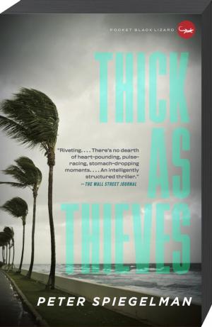 Cover of the book Thick as Thieves by Dorte Hummelshoj Jakobsen