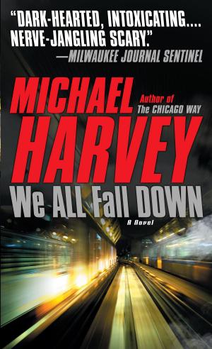 Cover of the book We All Fall Down by Brett Halliday