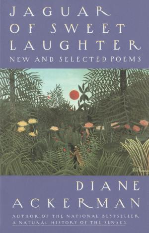 Book cover of Jaguar of Sweet Laughter