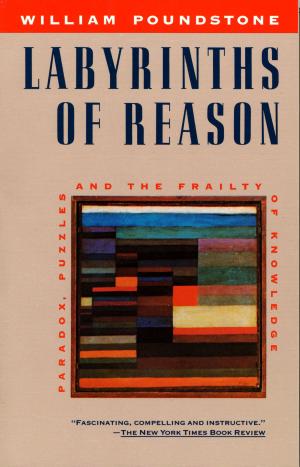 bigCover of the book Labyrinths of Reason by 