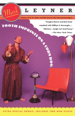 Cover of the book Tooth Imprints On a Corn Dog by John Burnham Schwartz