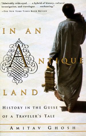Cover of the book In an Antique Land by Rachel Kleinfeld