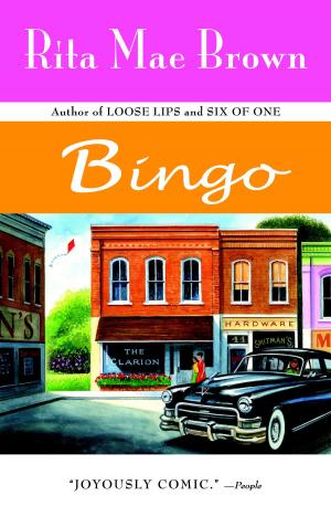 Cover of the book Bingo by Jane Kamensky, Jill Lepore