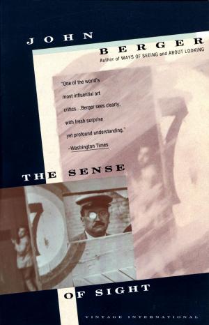 Cover of the book The Sense of Sight by Peter Spiegelman