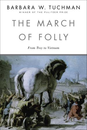 Cover of the book The March of Folly by David Rollins