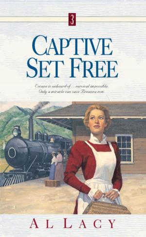 Cover of the book Captive Set Free by Matthew Vines