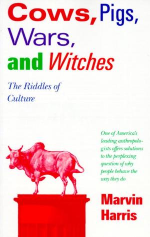 Cover of the book Cows, Pigs, Wars, and Witches by Nora Gallagher