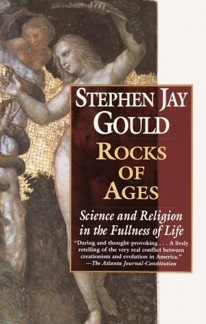 Cover of the book Rocks of Ages by Stacey Kennedy