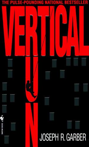 Cover of the book Vertical Run by Kelley Armstrong, Stewart O'Nan, Peter Straub