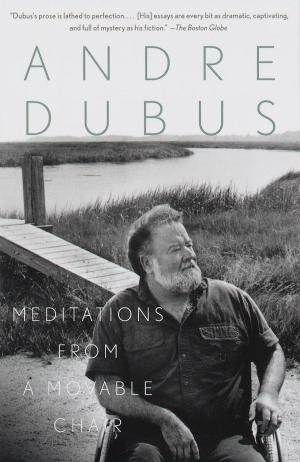 Cover of the book Meditations from a Movable Chair by Deirdre Bair
