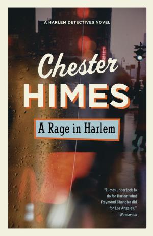 Cover of the book A Rage in Harlem by Jay Parini