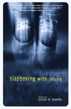 Cover of the book Slapboxing with Jesus by Rene Descartes, Benedict de Spinoza, Gottfried Wilhelm Vo Leibniz