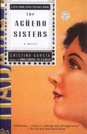 Cover of the book The Aguero Sisters by Morag Joss