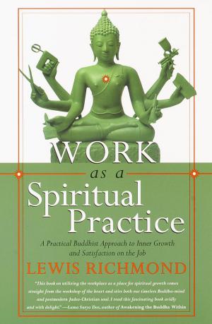 bigCover of the book Work as a Spiritual Practice by 