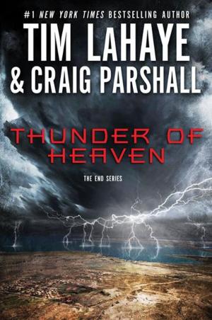 Book cover of Thunder of Heaven